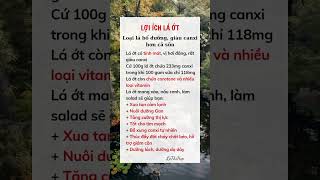 Lợi ích lá ớt #suckhoe #doisong #baihoccuocsong #xuhuong #reels