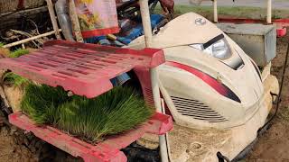 YANMAR VP6D Rice transplanter working in field