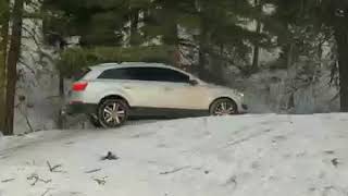 Audi q7 Christmas tree hunting