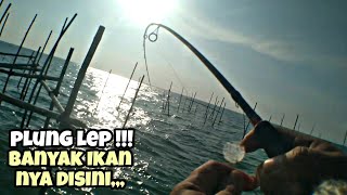 Mancing Plung Lep di Ambulu Losari