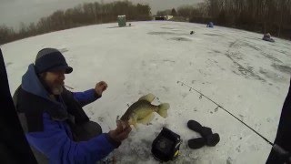 Catching crappie through the ice 2015