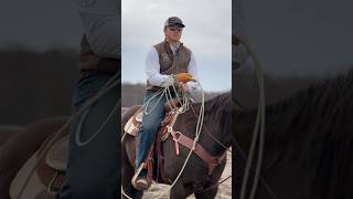 In the roping pen #roping #rodeo #cowboy #horse #equestrian