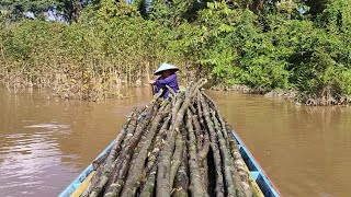 Mengubah Kayu Biasa Menjadi Luar Biasa