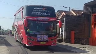 TELOLET Rombongan Bus Pariwisata