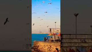 Tourism in Bushehr, Iran