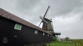 Zaanse Schans in the Rain - Paintmill De Kat - [ #1hour ]