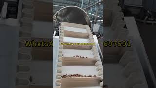 Automatic Cat Feed Pet Food Manufacturing Process Dog Food Processing Plant Dog Food Machine Price