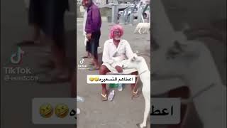 أعطاهم التسعيره🤩😀 اشايب