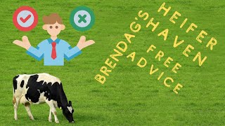 Heifer Haven Free Advice - Making Decisions