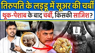 Tirupati laddo animal fat की साजिश, Yogi से लेकर Modi सब एक्टिव, CBI और Naidu तगड़े एक्शन की तैयारी!