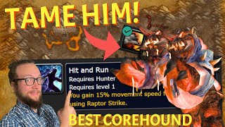 HIT AND RUN! Hunter rune and BEST COREHOUND PET - Season of Discovery World of Warcraft