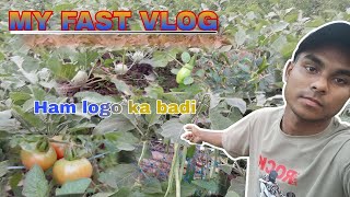 🛑My fast vlog ham logo ka badi देखो सब्जी मिर्ची,गोभी,बैंगन,टमाटर और आदि #sabji #badi #video 🛑