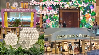 Changi Airport Singapore | Glimpse of  Changi Airport Singapore | travel diaries