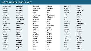 Irregular Plural Nouns in English | Singular and Plural Nouns