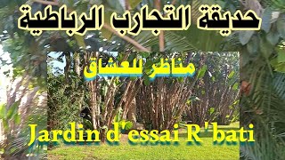 زيارة خفيفة لحديقة التجارب ..Jardin d'essai..الموجودة بالرباط، فعلا حديقة في المستوى