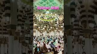 Surah Baqrah/Urdu Hindi Translation #viral #shorts #knowingdeen