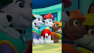 PAW Patrol On a Roll Short Video 17