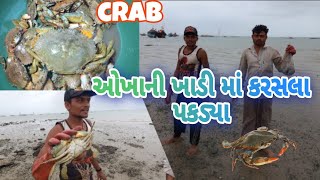 Unbelievable Crab Catching Techniques! #ViralVideo #સમુદ્રીય નઝારો33