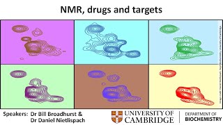 NMR, drugs and targets