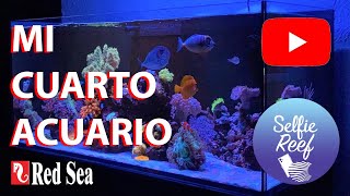 Mi Cuarto ACUARIO MARINO Red Sea 350