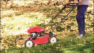 Is Mulching Tree Leaves Back into the Soil a Good Idea or Bad Idea? Plus Other Fall Lawn Care Tips