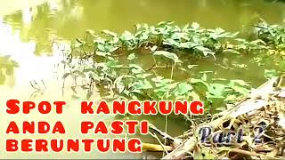 anda pasti beruntung                                           mancing di spot kangkung part 2