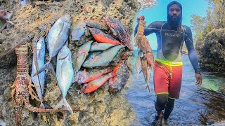 I Shot A Big String Of Fish Today Lobster, Jacks, Lion Fish And More    #spearfishing