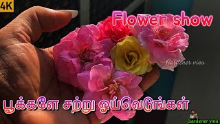 பூச்செடிகள் பாருங்க 💐💐 Flower plants in terrace garden #flowerplants #gardenervinu #terracegarden