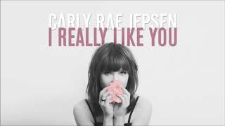 Carly Rae Jepsen   I Really Like You Instrumental