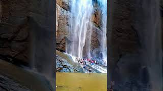 ஆகாய கங்கை அருவி #waterfalls #trending #river #mountain #hills #shorts #kollimalai #kollihills