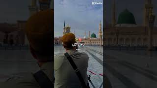 #new short of madina #shortvideo #viral short of madina #foryuopage #nature #shortvideo #unfreez #