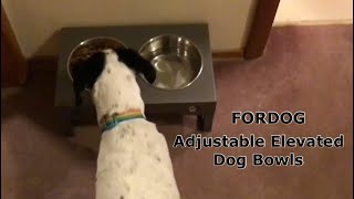 FORDOG Elevated Dog Bowls Review (Saturday Savings)￼