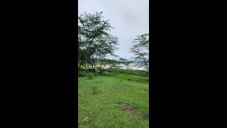 1/4 Acre Lots Going For Only Kes. 5.99M! - Own Land In Kenya