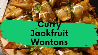 Jackfruit Curry Wontons | Healthy but Flavorful