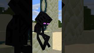 Enderman Past Lives #shorts