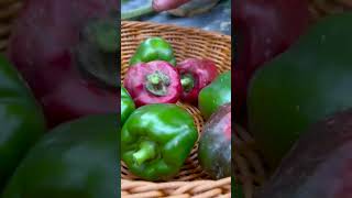 Harvesting eggplants, cucumbers and peppers in the home garden