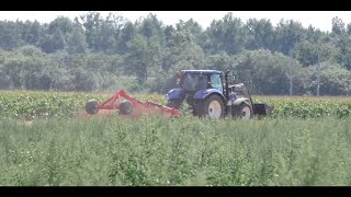 Pole i traktor okolice Świlcza 2020 - Field and tractor near Świlcz 2020