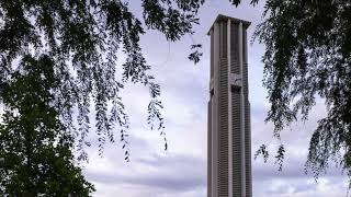 The Bells of Christmas for Carillon