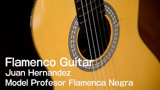 【おすすめフラメンコギター】ホアン・エルナンデス Profesor Flamenca Negra フラメンコギター名手による演奏！