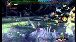 Monster Hunter Tri: royal Lundroth Solo Capture Part 1/2