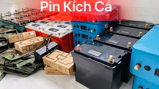 Pin kích cá siêu nhẹ | Đa dạng