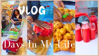 Days In My Life🍛🛒 | Cooking | Monthly Shopping Budget | Living In Germany🇩🇪