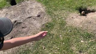 Ryder feeding a gopher a peanut in Winnipeg, Manitoba Canada