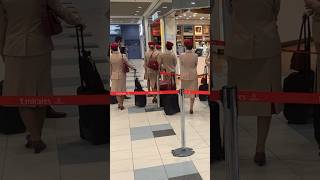 Стюардессы милота #эмираты #стюардесса #милота #аэропорт #emirates #shortsvideo #nectomi #оаэ