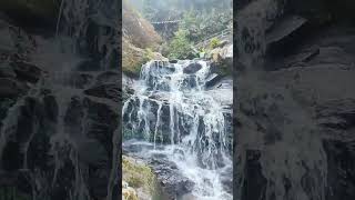 Rock Garden Waterfall 💦 mountain 🌄 #rockgarden #darjeeling #sightseeing #mountains #winter #shorts