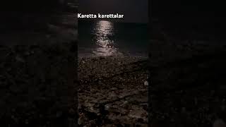 #caretta #carettacaretta #alanya #antalya #travelvlog #travel