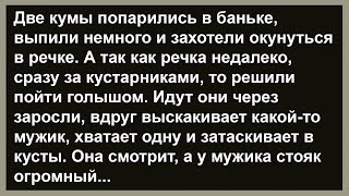 Как две кумы к речке ходили... Сборник анекдотов! Юмор! Позитив!