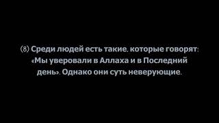 Толкование священного Корана, Сура 2 «Аль-Бакара», аяты 8-20