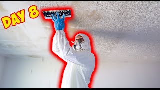 Renovating A Whole House In Just 90 Days! Part 2