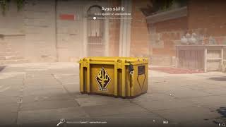 DAY 287 OPENING CS2 CASES UNTIL I GET GOLD!